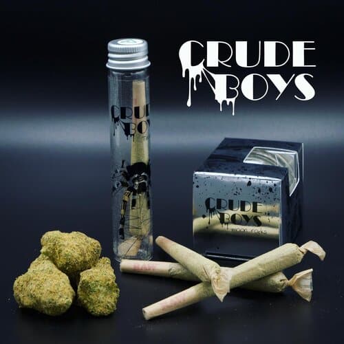 Crude boys carts for sale in MI - product lineup
