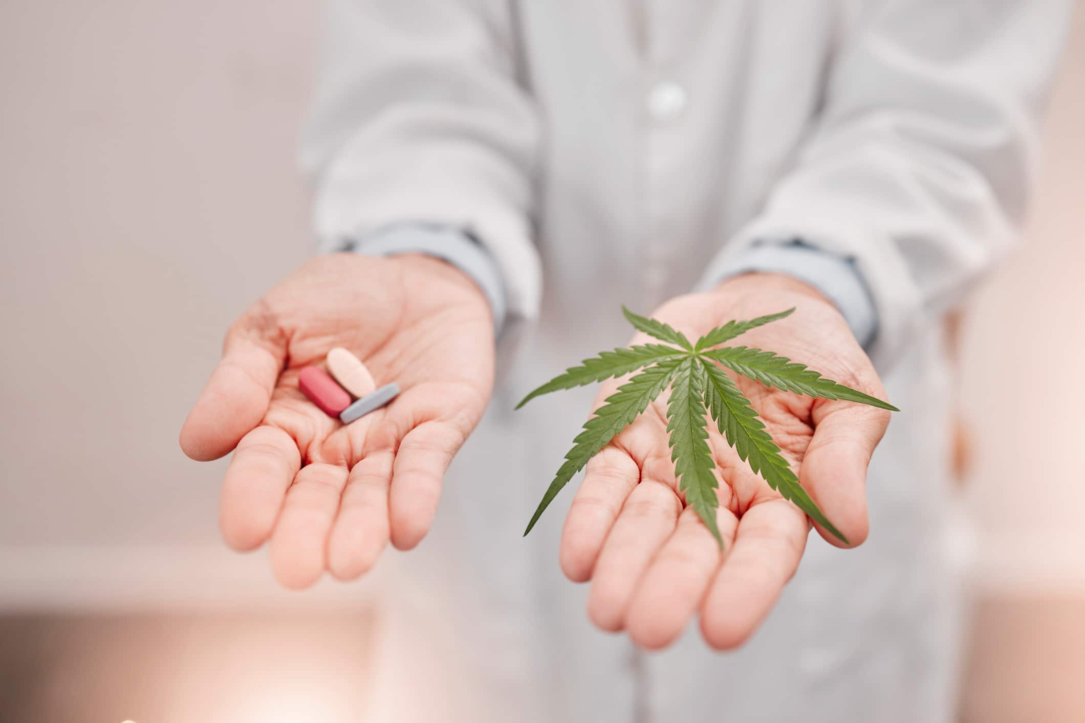 Opiates vs Cannabis