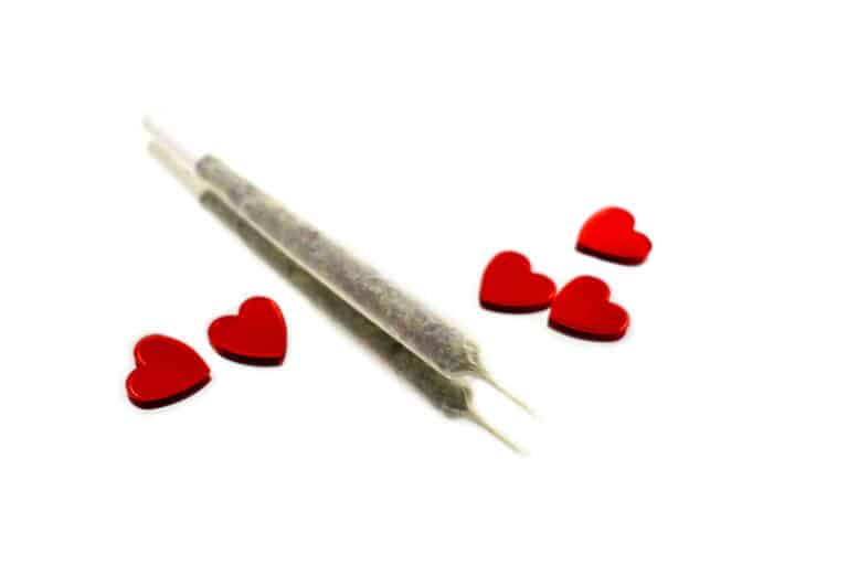 Make Valentine’s Day Extra Sweet with the Best Cannabis in Alpena, MI